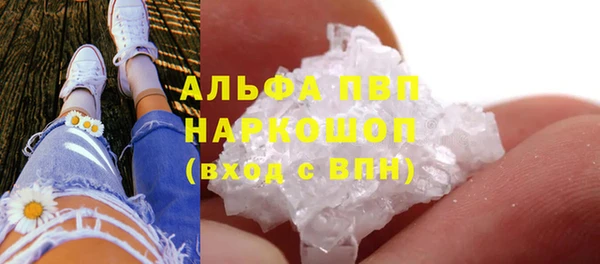 СК Балахна