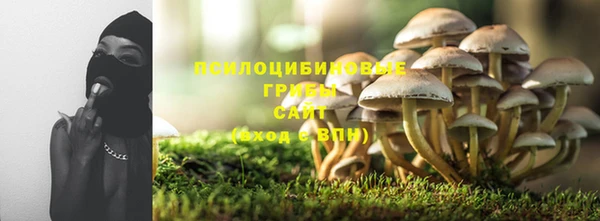 СК Балахна