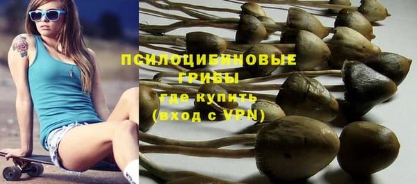 СК Балахна
